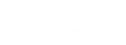 Public Investment Fund
